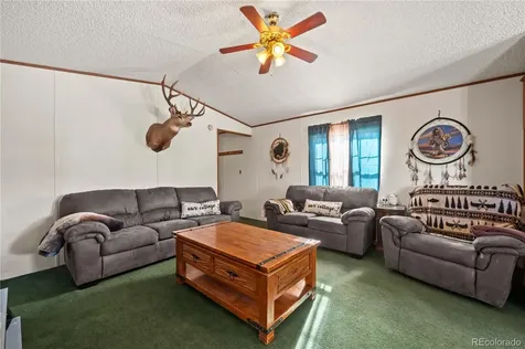 1838 17th Trail Cotopaxi CO 81223