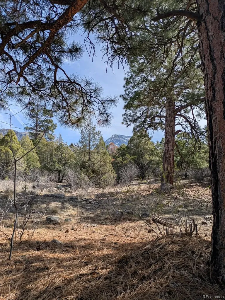 446 Arrowhead Overlook Crestone CO 81131