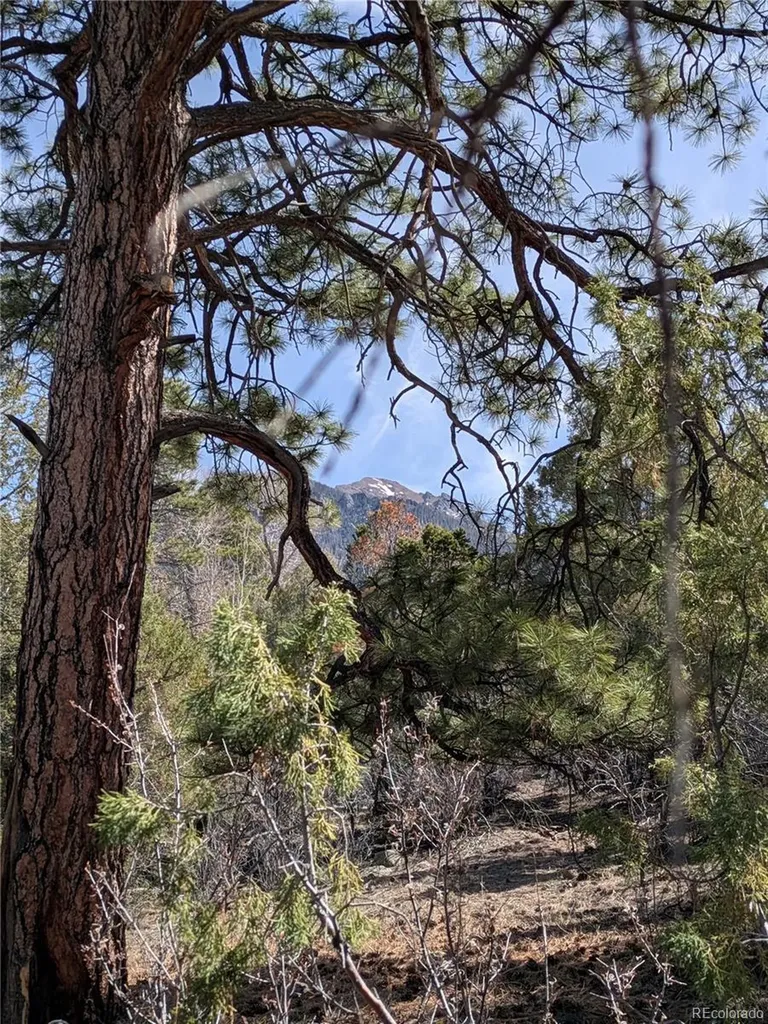446 Arrowhead Overlook Crestone CO 81131