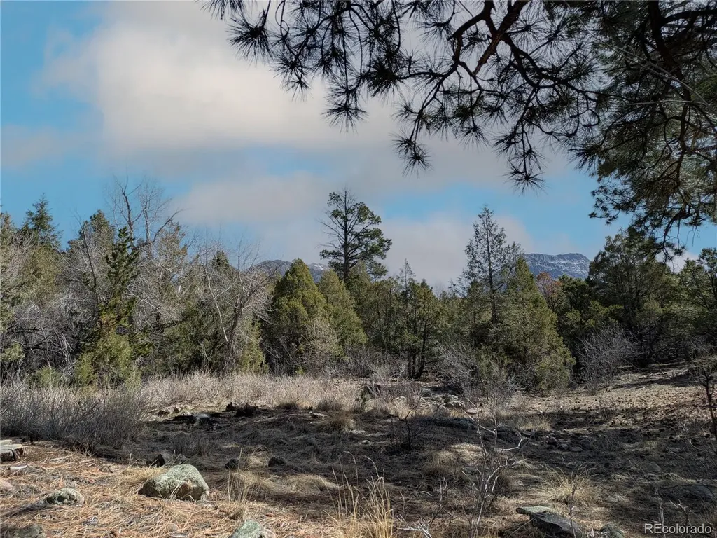 446 Arrowhead Overlook Crestone CO 81131
