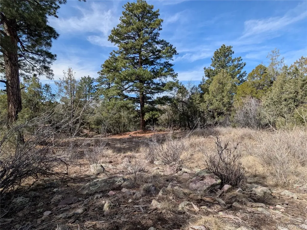 446 Arrowhead Overlook Crestone CO 81131