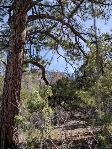 446 Arrowhead Overlook Crestone CO 81131