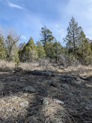 446 Arrowhead Overlook Crestone CO 81131