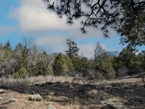 446 Arrowhead Overlook Crestone CO 81131