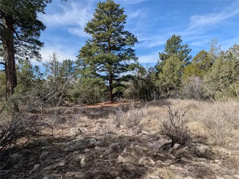 446 Arrowhead Overlook Crestone CO 81131