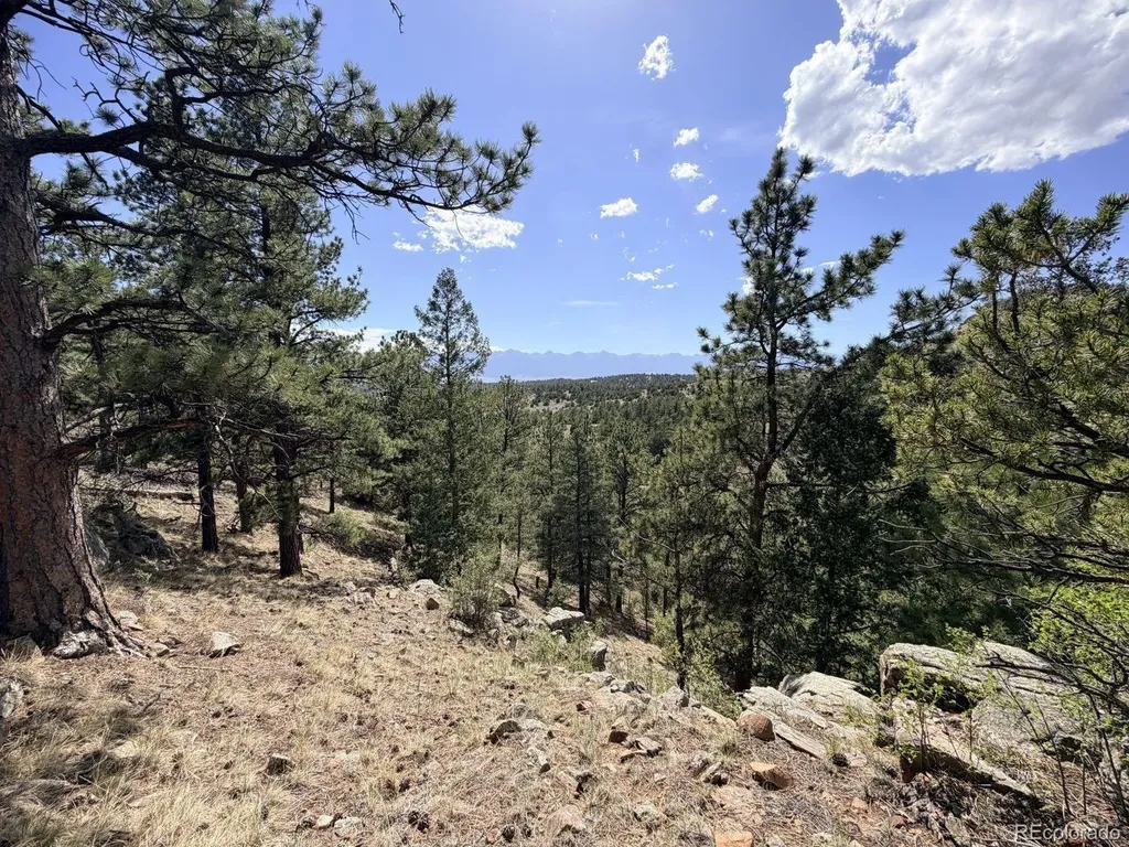 000 Schulze Ranch Road Westcliffe CO 81252