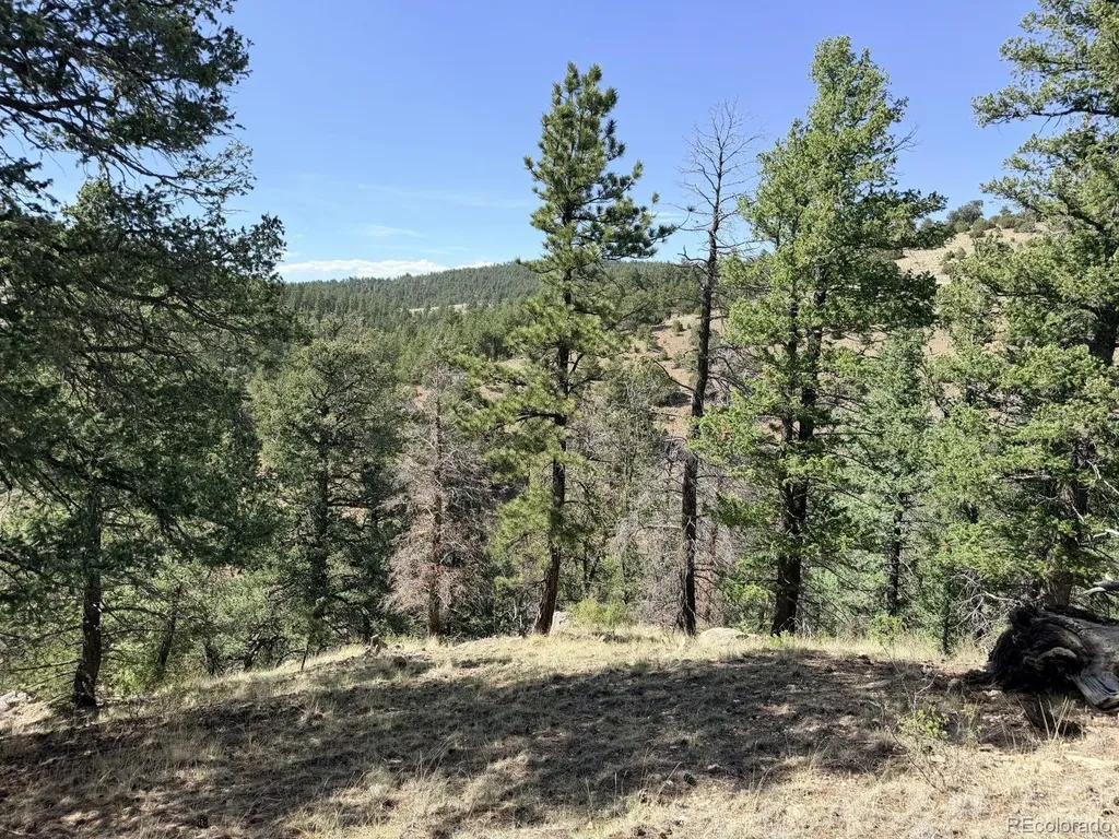 000 Schulze Ranch Road Westcliffe CO 81252