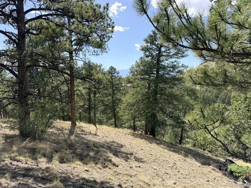 000 Schulze Ranch Road Westcliffe CO 81252