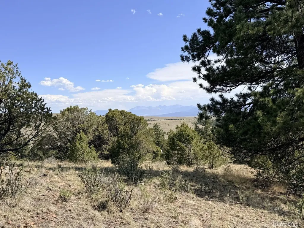 000 Schulze Ranch Road Westcliffe CO 81252