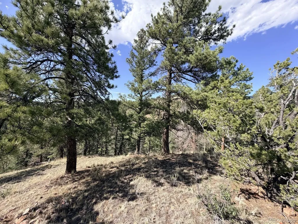 000 Schulze Ranch Road Westcliffe CO 81252