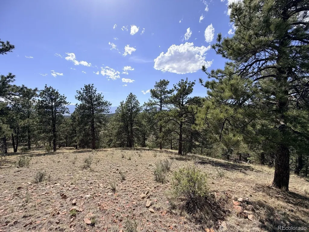 000 Schulze Ranch Road Westcliffe CO 81252