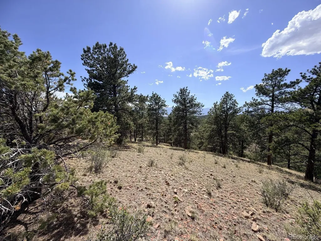 000 Schulze Ranch Road Westcliffe CO 81252