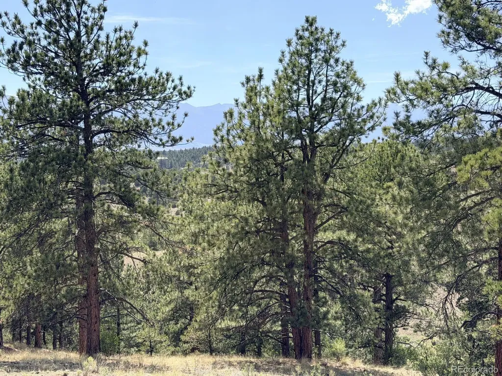 000 Schulze Ranch Road Westcliffe CO 81252