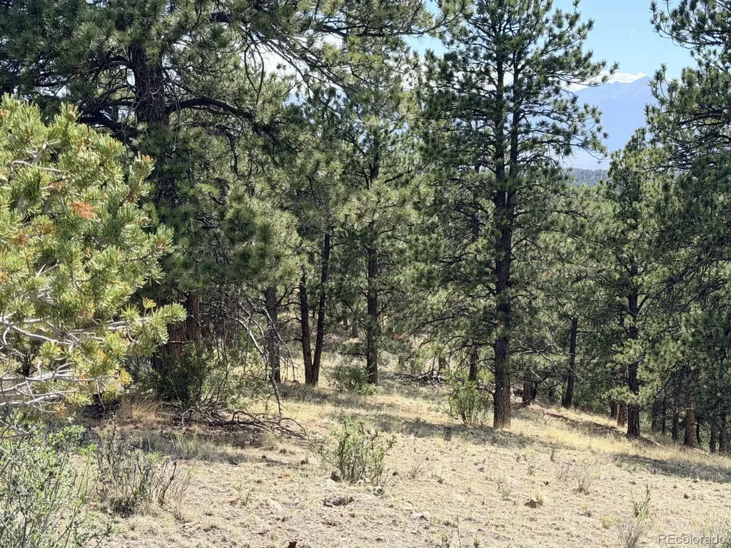 000 Schulze Ranch Road Westcliffe CO 81252