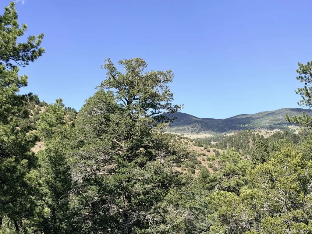 000 Schulze Ranch Road Westcliffe CO 81252