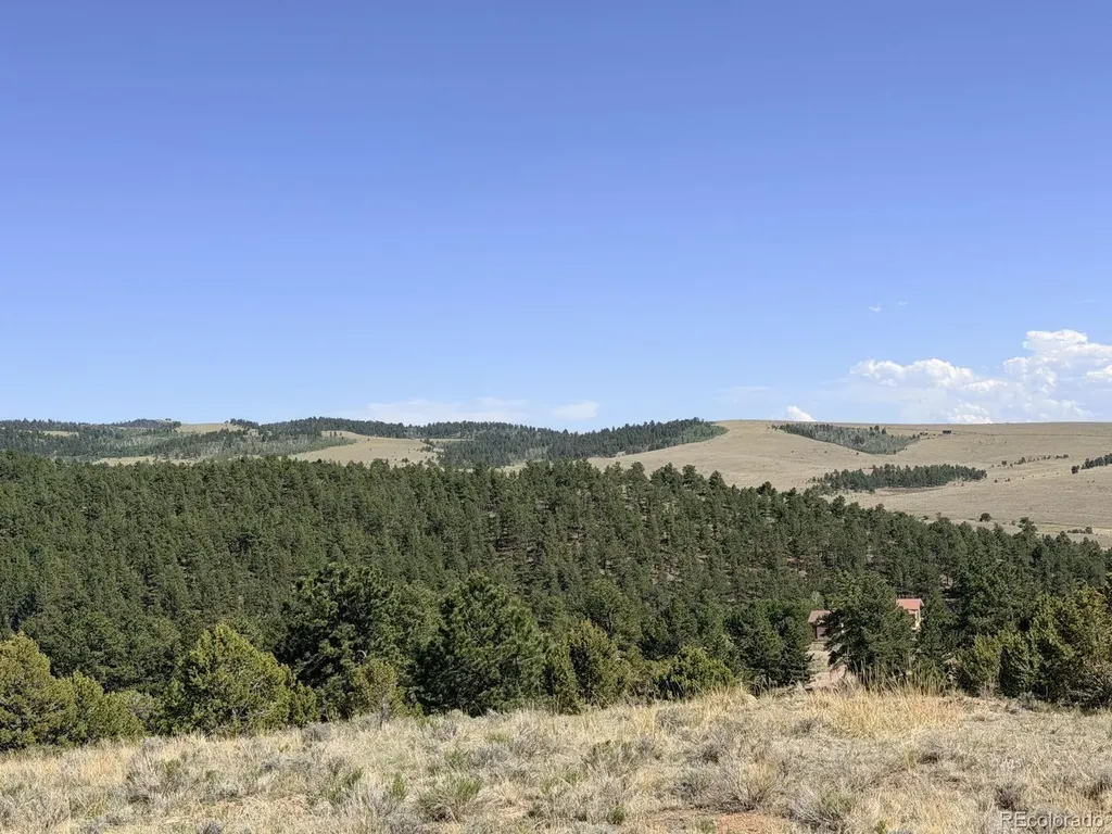 000 Schulze Ranch Road Westcliffe CO 81252