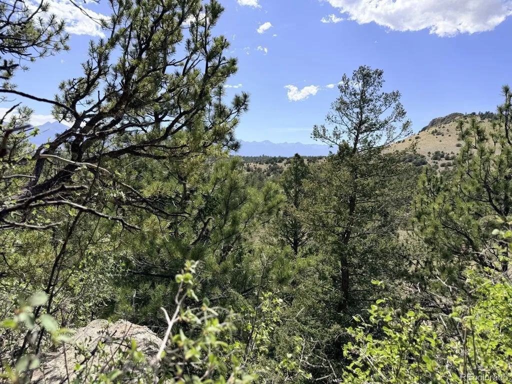 000 Schulze Ranch Road Westcliffe CO 81252