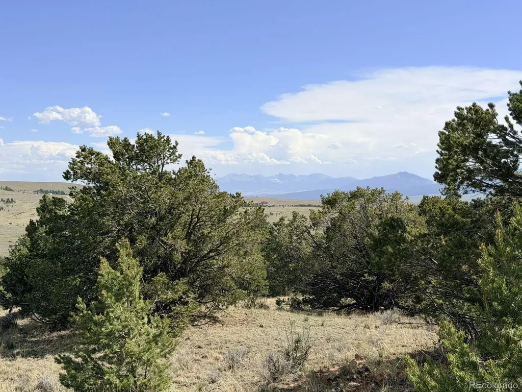 000 Schulze Ranch Road Westcliffe CO 81252