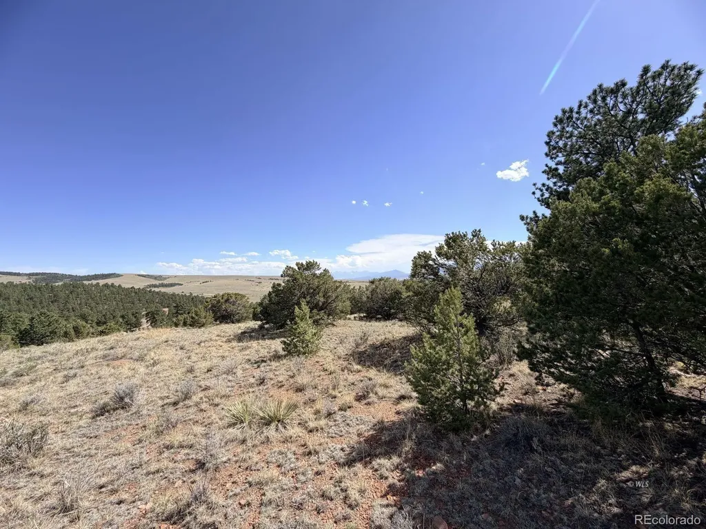 000 Schulze Ranch Road Westcliffe CO 81252