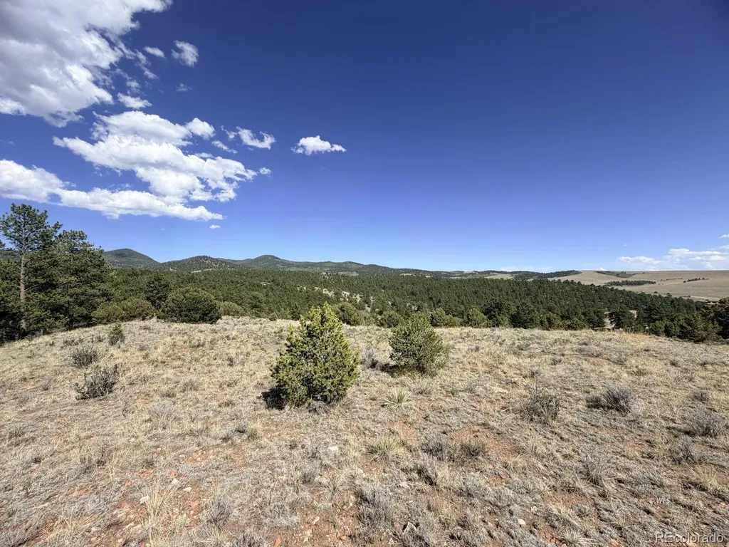 000 Schulze Ranch Road Westcliffe CO 81252