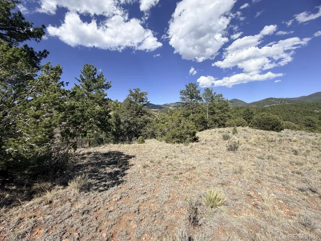 000 Schulze Ranch Road Westcliffe CO 81252