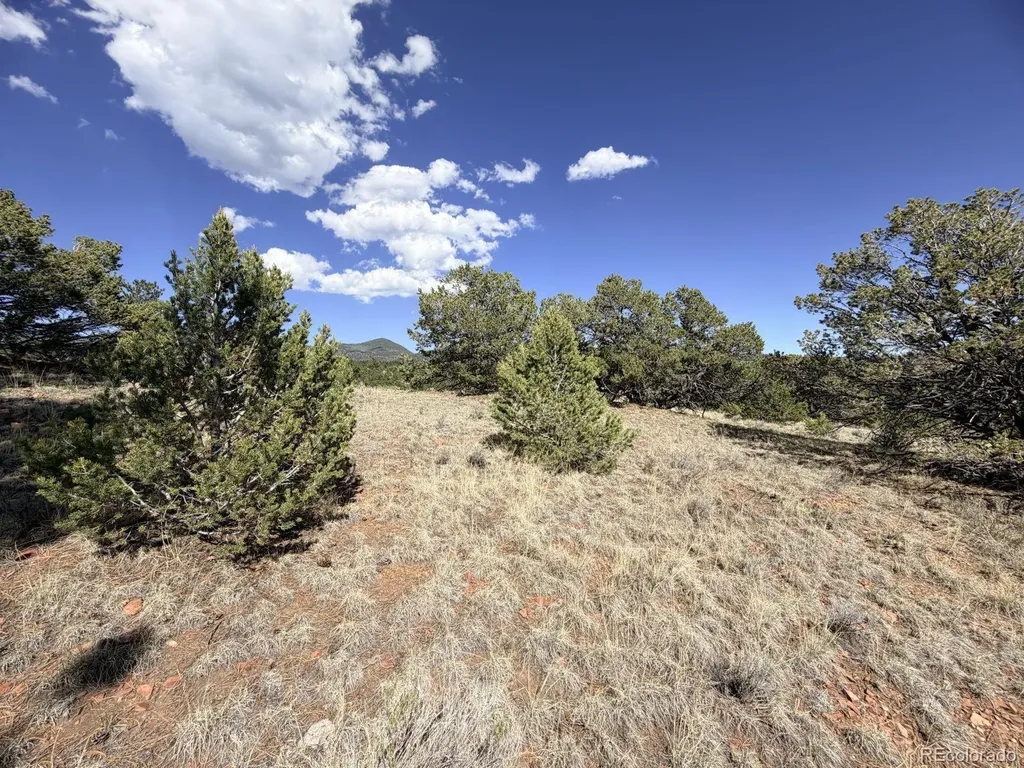 000 Schulze Ranch Road Westcliffe CO 81252