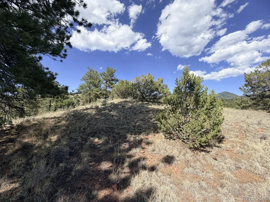 000 Schulze Ranch Road Westcliffe CO 81252