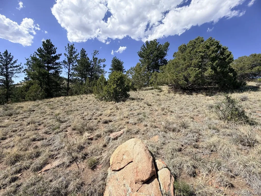 000 Schulze Ranch Road Westcliffe CO 81252