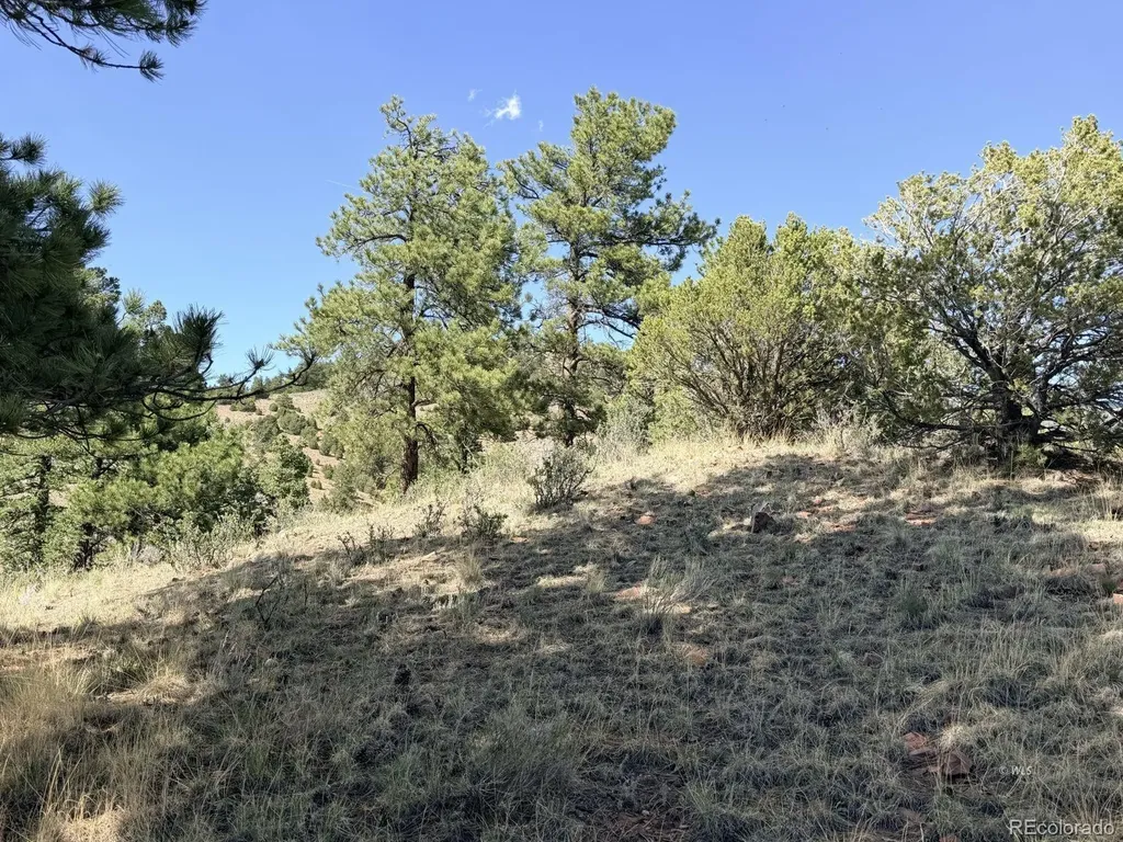 000 Schulze Ranch Road Westcliffe CO 81252
