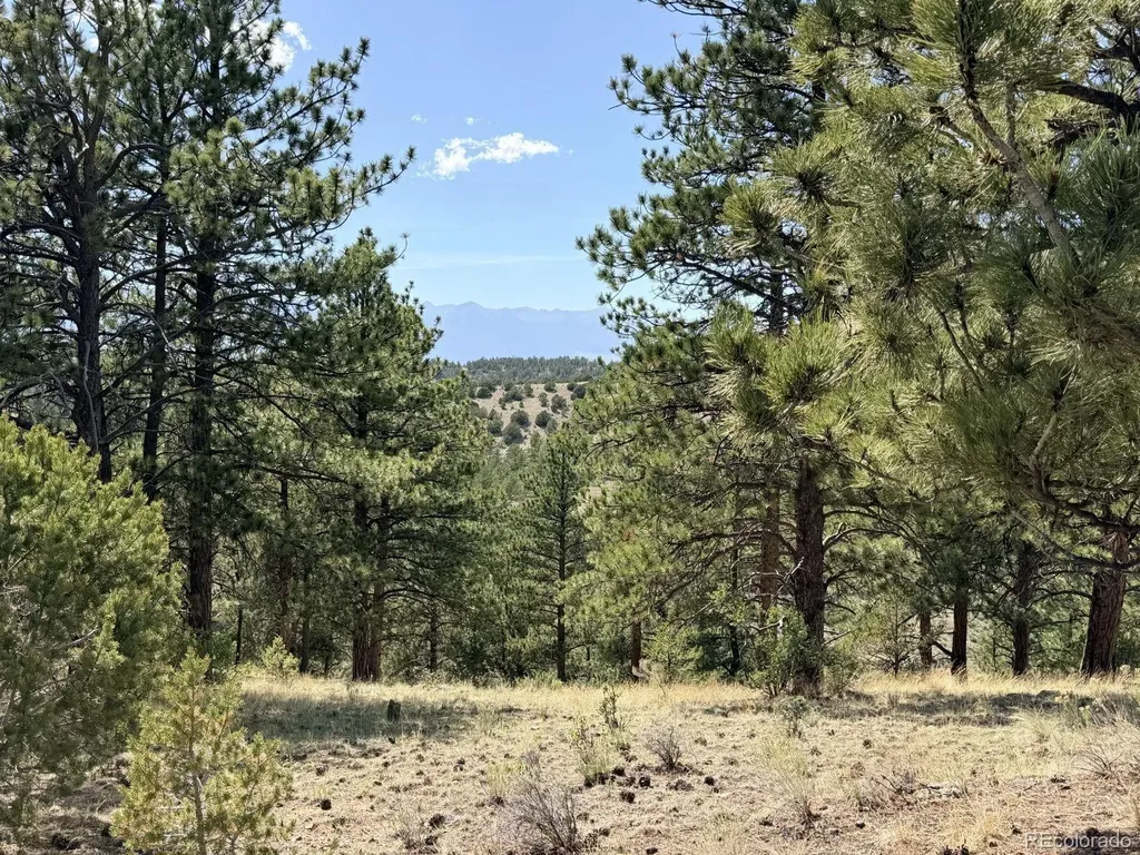 000 Schulze Ranch Road Westcliffe CO 81252