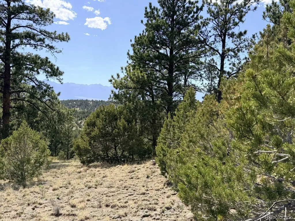 000 Schulze Ranch Road Westcliffe CO 81252