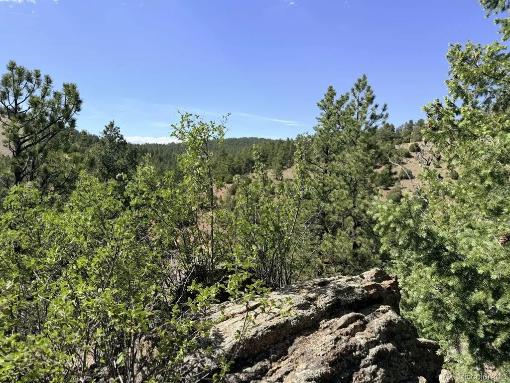 000 Schulze Ranch Road Westcliffe CO 81252