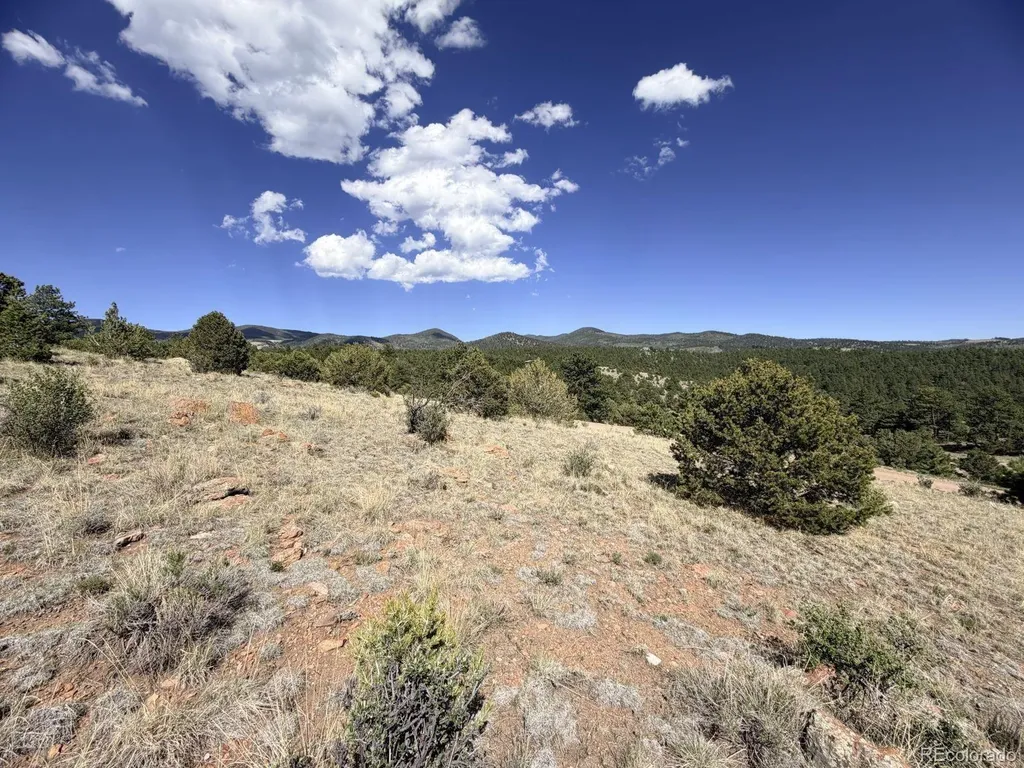 000 Schulze Ranch Road Westcliffe CO 81252