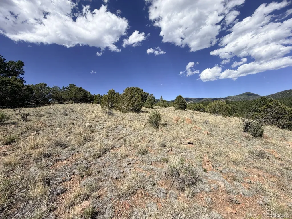 000 Schulze Ranch Road Westcliffe CO 81252