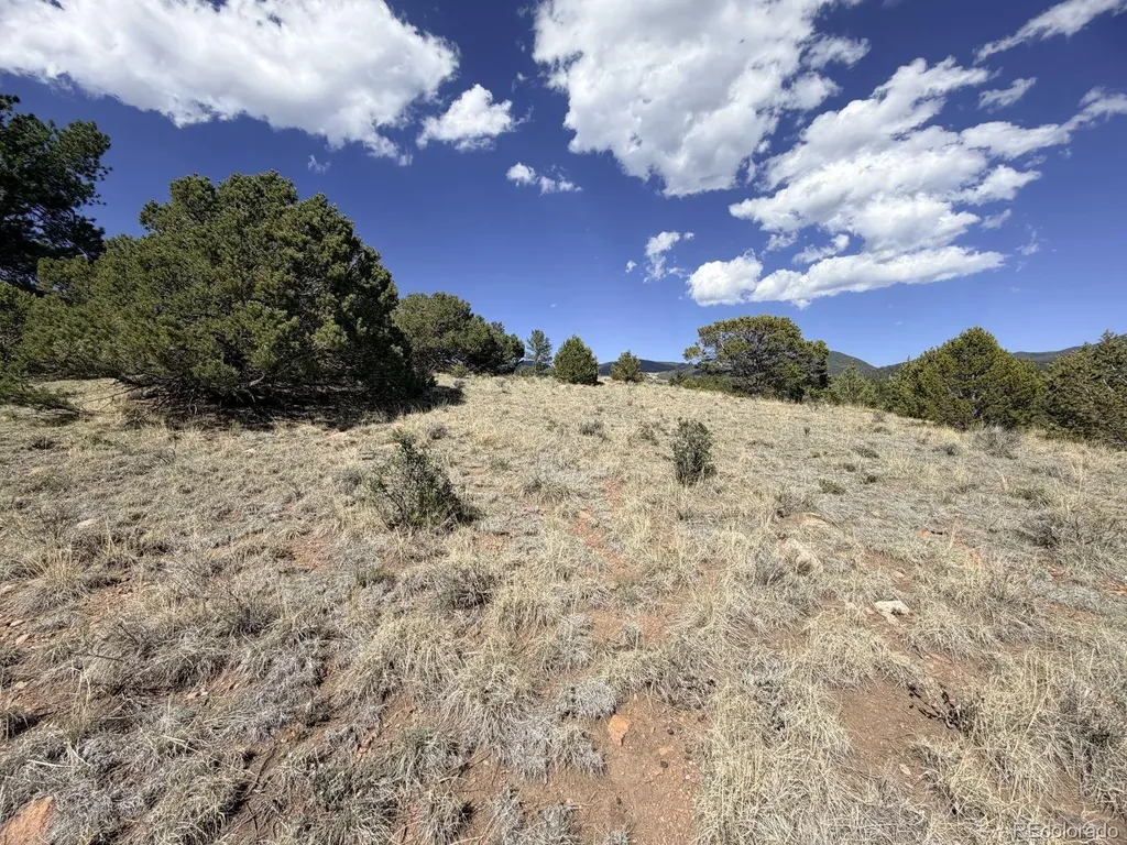 000 Schulze Ranch Road Westcliffe CO 81252