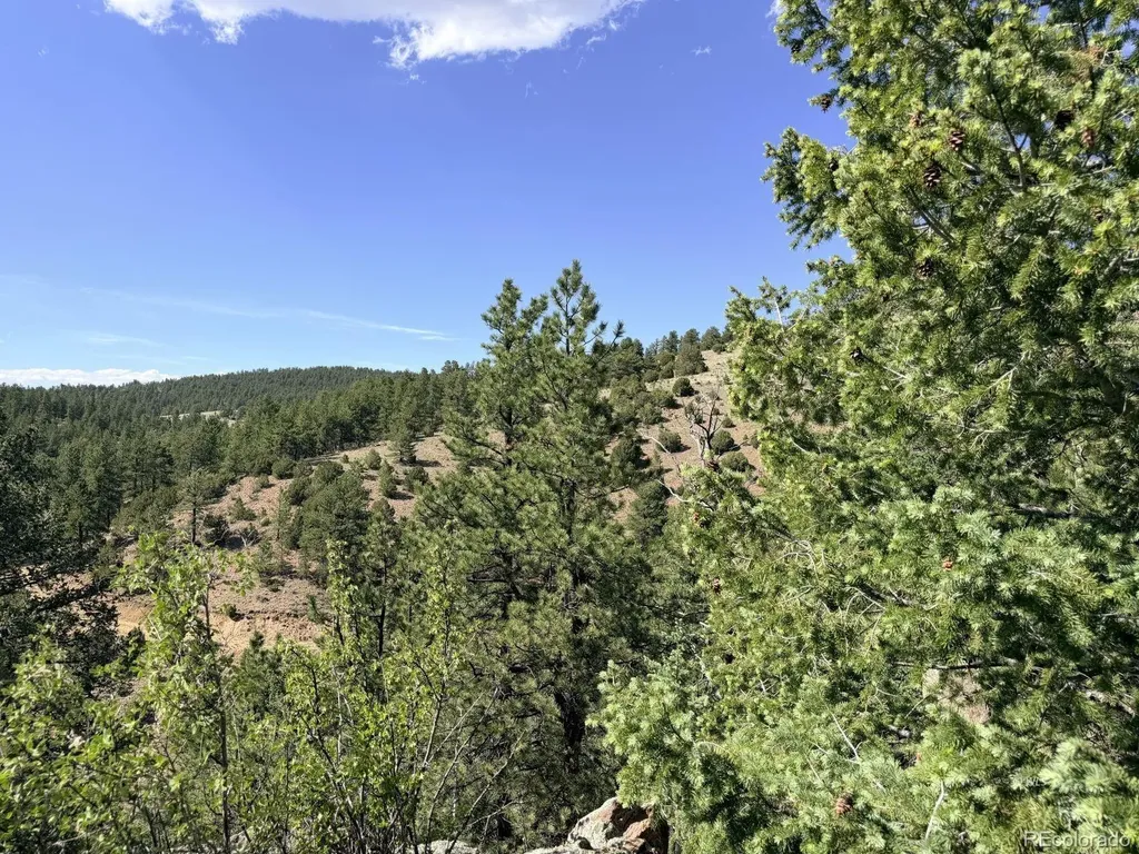 000 Schulze Ranch Road Westcliffe CO 81252