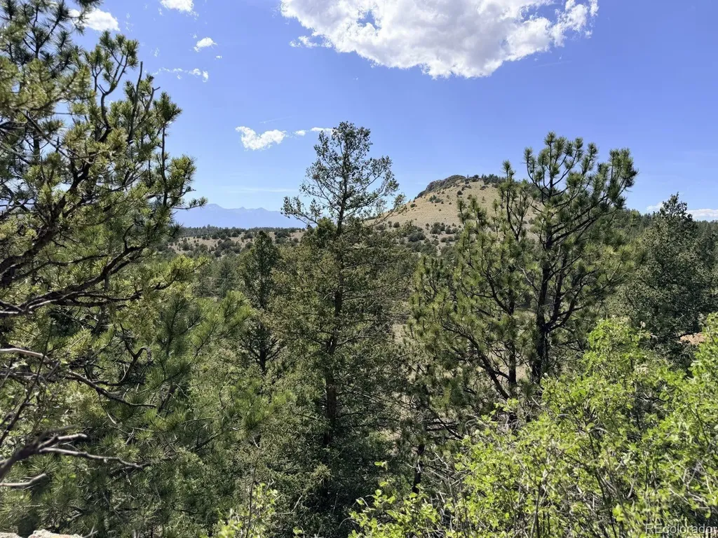 000 Schulze Ranch Road Westcliffe CO 81252