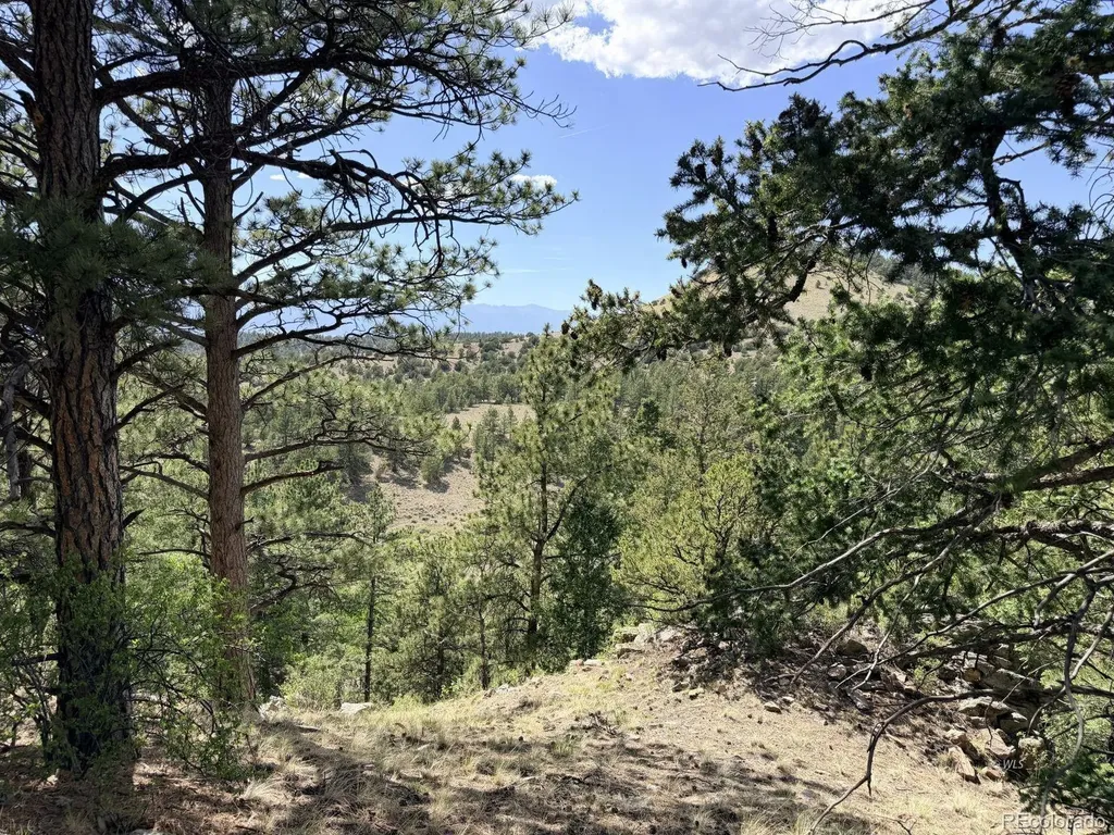 000 Schulze Ranch Road Westcliffe CO 81252