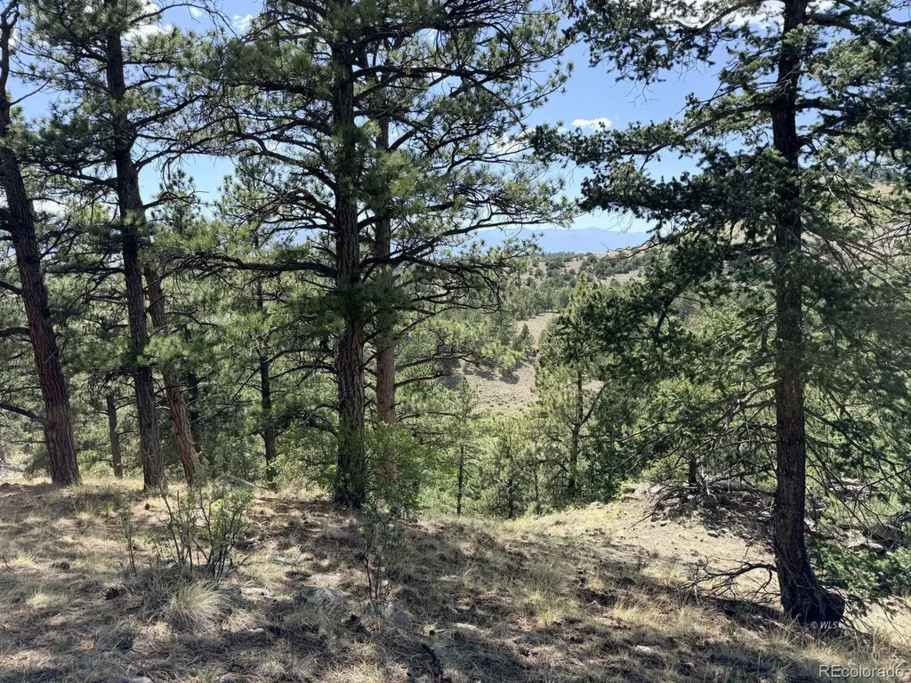 000 Schulze Ranch Road Westcliffe CO 81252