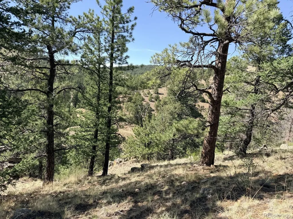 000 Schulze Ranch Road Westcliffe CO 81252