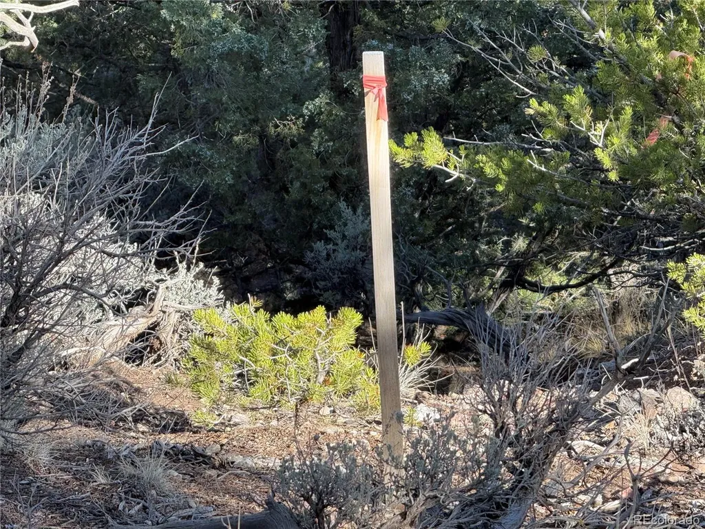 Lot 7067 Waligunda Road Fort Garland CO 81133