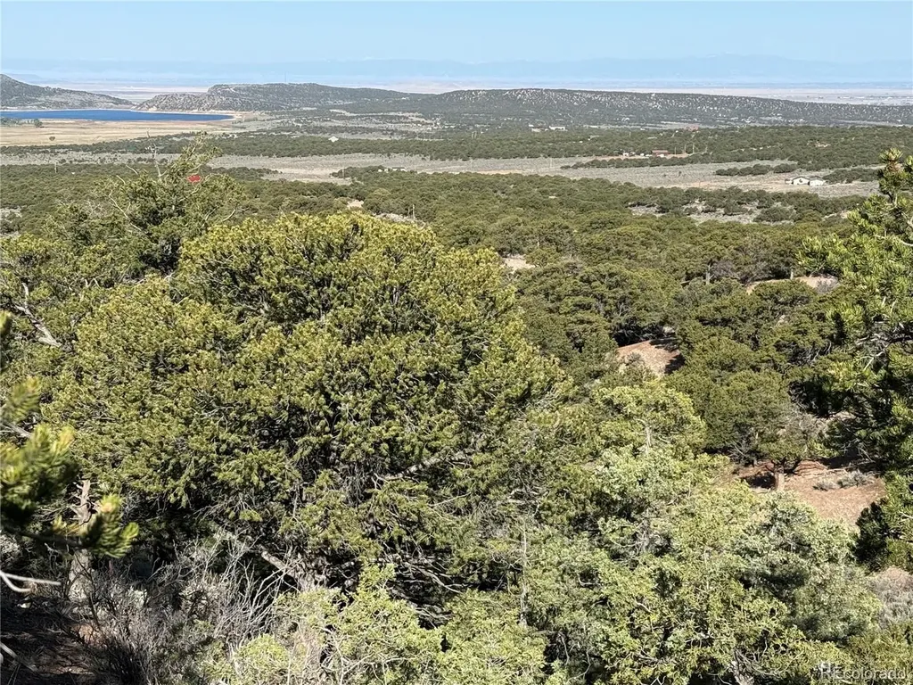 Lot 7067 Waligunda Road Fort Garland CO 81133