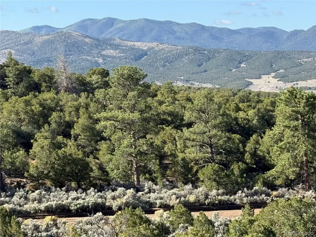 Lot 7067 Waligunda Road Fort Garland CO 81133