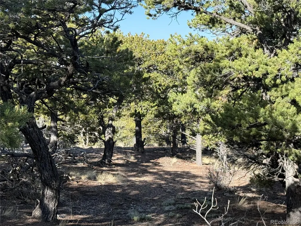 Lot 7067 Waligunda Road Fort Garland CO 81133