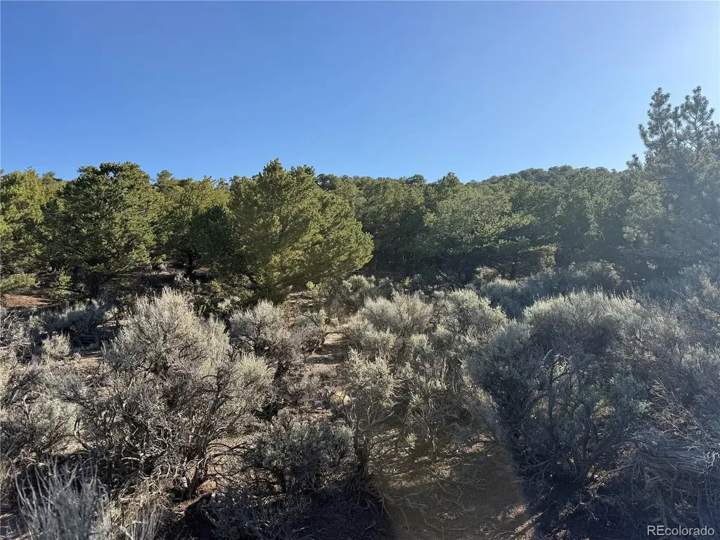 Lot 7067 Waligunda Road Fort Garland CO 81133