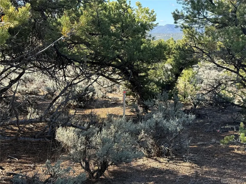 Lot 7067 Waligunda Road Fort Garland CO 81133