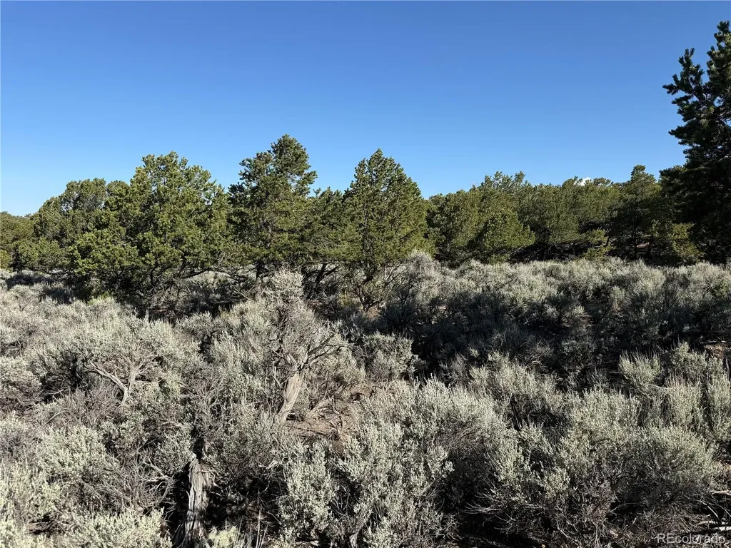 Lot 7067 Waligunda Road Fort Garland CO 81133