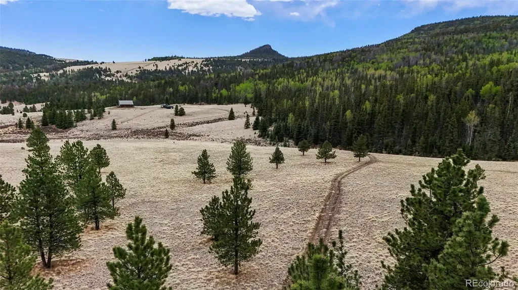 10801 County Road M-32 Del Norte CO 81132