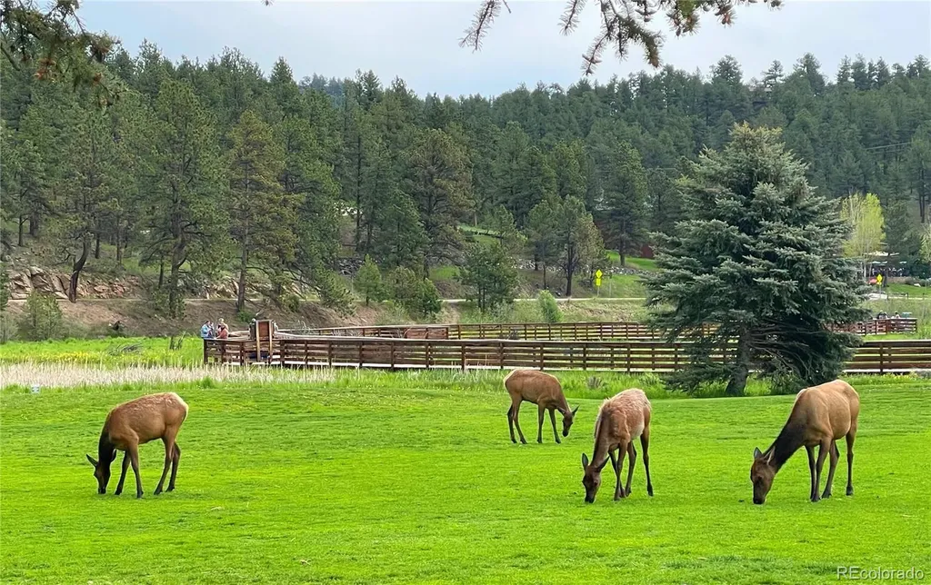 31270 John Wallace Road Evergreen CO 80439