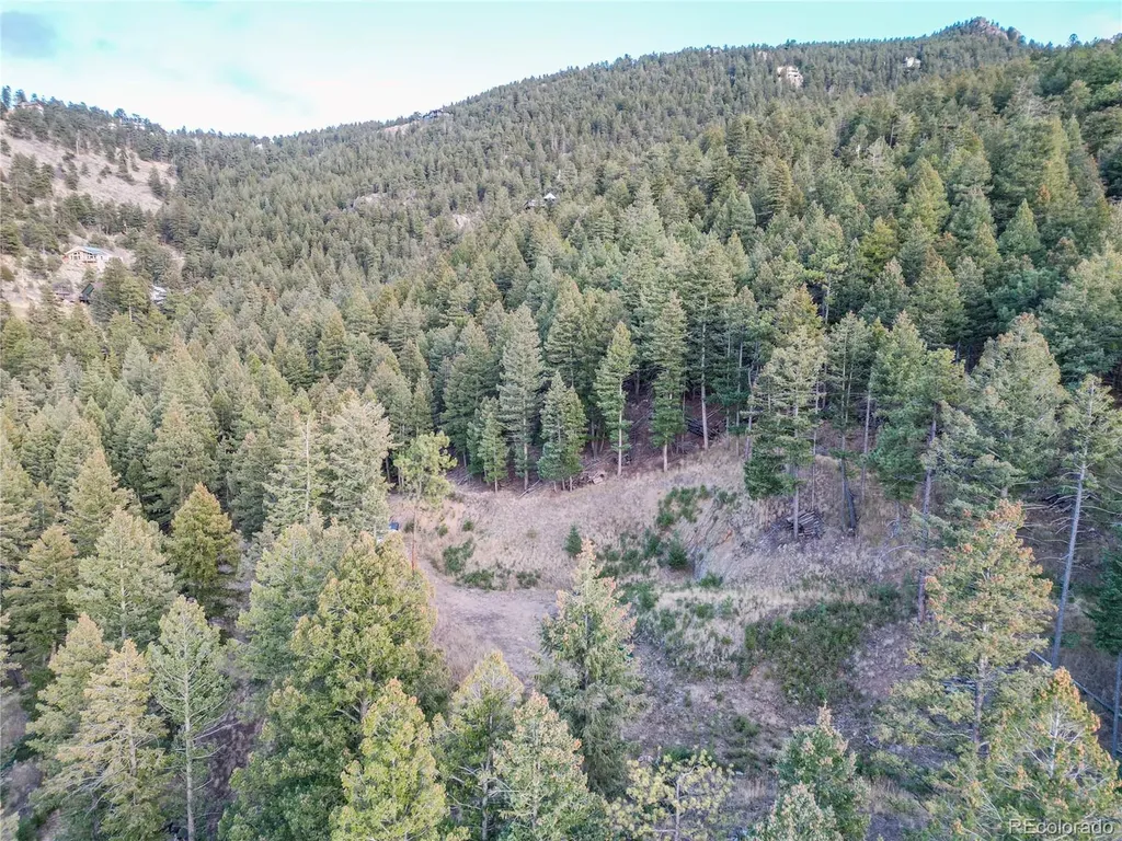 26779 Fern Gulch Road Evergreen CO 80439